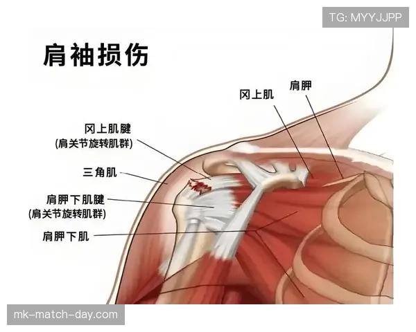 合法冲撞判定规则：肩部对抗的三大关键